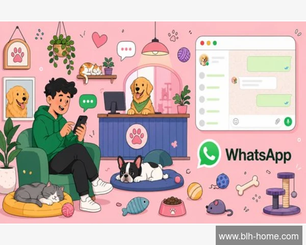 全面检测WhatsApp通知禁用状态你需要知道的一切